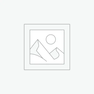 ai-web-development